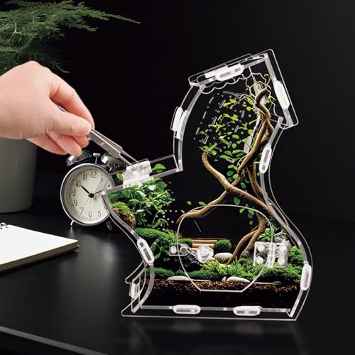 Magnetic Acrylic Enclosure for Jumping Spiders & Small Reptiles – 5.9"x4.7"x9.4" Escape-Proof Habitat with Easy-Feed Magnetic Door, 3mm Thick Clear Terrarium for Tarantulas, Mantis, Geckos & Beetles - size: 5.9 x 4.7 x 9.4 inches