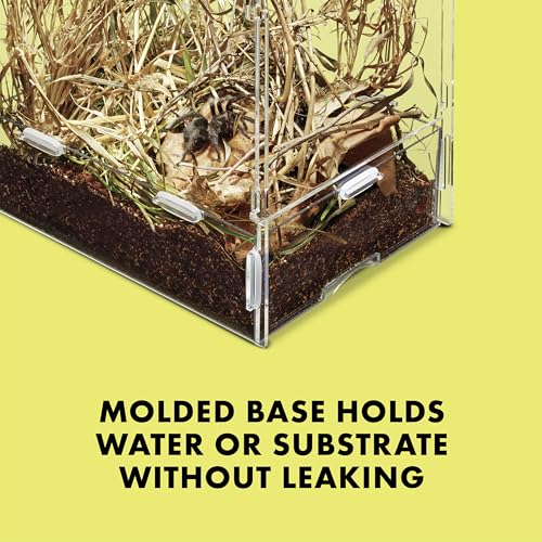 Zilla Micro Habitat Terrarium, Arboreal, with Locking Latch, for Isopods, Spiders, Insects, Large - size: Large, style: Arboreal