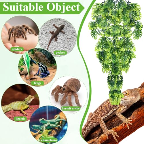 Suncalla Reptile Plants Terrarium Hanging Plants Vines Boston Climbing Terrarium Plant with Suction Cup for Bearded Dragons Lizards Crested Gecko Snake Crab Tank(Popular Series,Green) - style: Popular Series