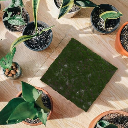 TOYANDONA Artificial Moss Grass Turf Mat 30x30cm Faux Moss Carpet for Home Garden Wedding Decor Reptile Terrarium Indoor Outdoor Artificial Greenery