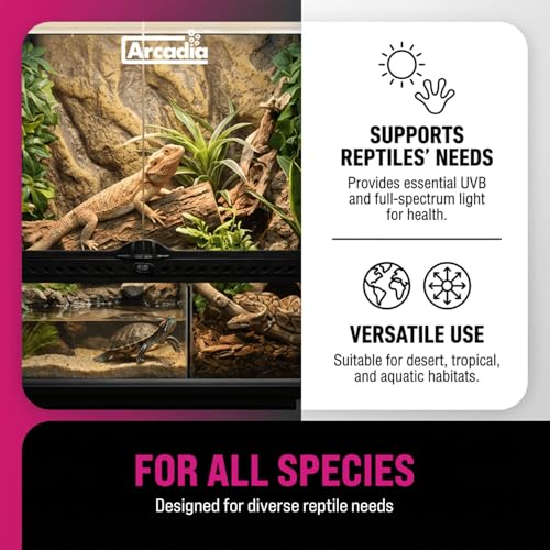 Arcadia Pro T5 UVB Kit Dragon 14% UV-B, 34” (39W) - High Output Reptile Light with Reflector, Fittings & Link Cable, UVB for Forest, Tropical & Arboreal Species, Full-Spectrum Lighting for Vivariums