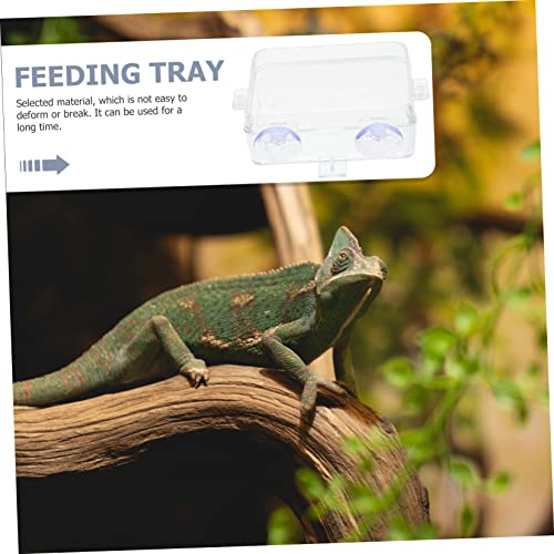 Hemoton 2pcs Reptile Feeding Bowls Escape Water Basin for Tanks Suction Cup Reptile Food Dishes Supplies