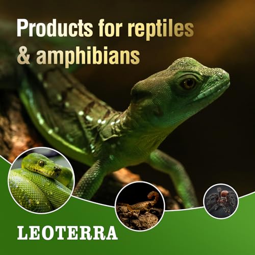 Leoterra 75W Reptile Basking Spot Bulb (2-Pack),Thickened Glass UVA Heat Lamp for Medium 20-40 Gallons Terrariums,Ideal for Juvenile Bearded Dragons, Blue Tongue Skinks, Aquatic Turtle Docks(E26 110V) - style: B8075 Basking light