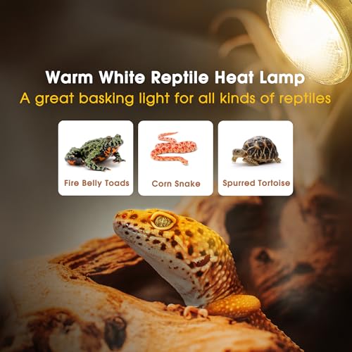 Briignite Reptile Heat Bulb 2 Pack, 75W UVA Reptile Light Bulbs, Dimmable Heat Lamp Bulbs Basking Spot Light Bulb for Reptiles, Amphibian, Bearded Dragon, Lizard, Chicken - color: Cream-75w Th11