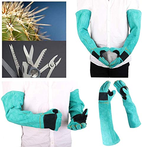 AOWPFVV Long Sleeve Thick Leather Animal Handling Glove Anti Scratch Protective Gloves for Training Dog Cat Bird Snake Parrot Lizard Wild Animals Reptiles,Bite Resistant Gloves - color: Light Green Size Large 23.6in