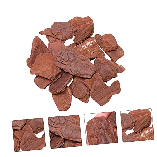 1pack Reptiles Box Pine Bark Landscaping Material Pack of Fine Polished Adornment for Terrarium Decor Safe for Reptiles Adds Natural Beauty to Habitat Present for Enthusiasts