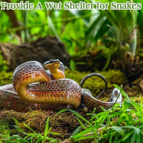 Halatool 6OZ Natural Sphagnum Moss Substrate for Reptiles - Terrarium Bedding with 72H Moisture Retention, Safe for Bearded Dragons, Geckos & Snake Shedding - size: 6 OZ