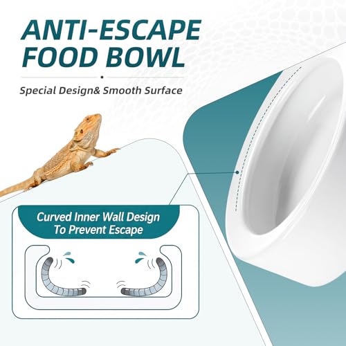 Meanplan 4 Pcs Reptile Bowl Food Dish Reptile Water Food Feeding Dish Ceramic Worm Pet Bowl Anti Escape Feeder for Lizard Anoles Chameleon Bearded Dragon Hermit Crab (4.92 Inch) - size: 4.92 Inch