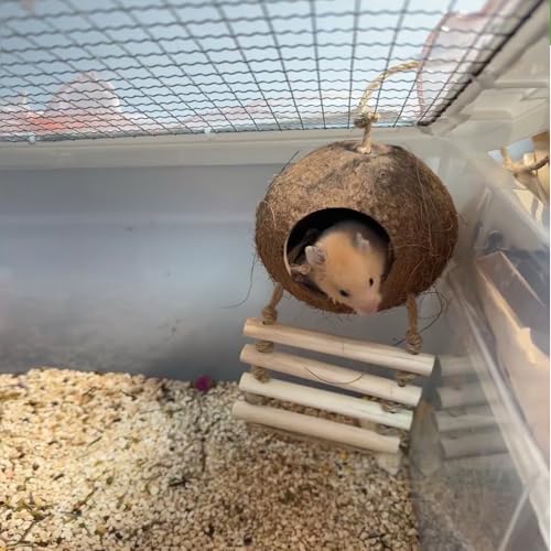 Crested Gecko Coconut Hide with Ladder Shell Natural,Reptile Coco Hut Cave Habitat with Suction Cup Terrarium Décor for Hermit Crab, Lizard, Leopard Gecko Snake Reptiles