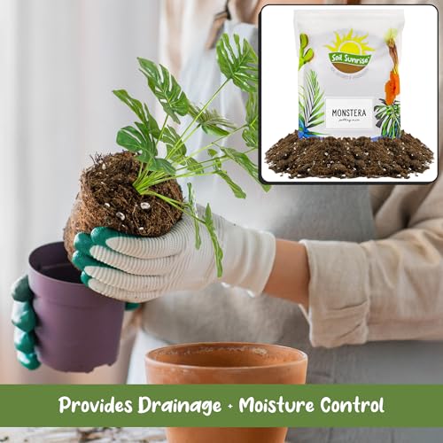 Soil Sunrise Monstera Houseplant Potting Soil Mix (12 Quarts) Custom Blend for Growing and Repotting - size: 12 Quarts