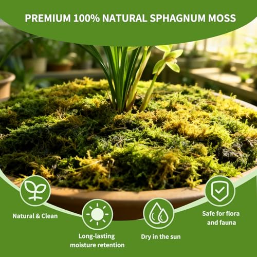 Compressed Sphagnum Moss for Plants & Reptiles (2pc)– Dried Peat Moss, Moisture-Retentive for Indoor Plants, Orchids, Terrariums, Reptile Bedding (100% Natural, Reptile-Safe - size: 2PCS