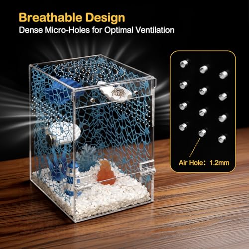 Jumping Spider Enclosure Starter Kit,Escape Proof Ocean Terrarium | Praying Mantis Terrariums,Transparent Acrylic Complete Bug Habitat,All In One Arboreal Tarantula Cribs Cage,Insect Container - size: Large