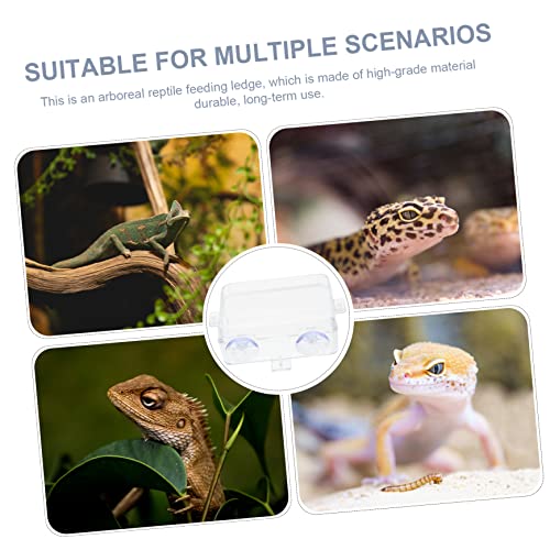 Hemoton 2pcs Reptile Feeding Bowls Escape Water Basin for Tanks Suction Cup Reptile Food Dishes Supplies