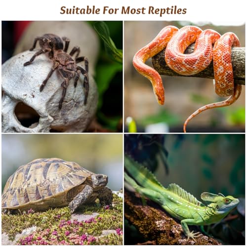 GALPADA 6Pcs Reptile Feeding Tank Buckles Turtle Terrarium Lock Latches for Glass Tank Escape Prevention Easy Installation Plastic Locks for Amphibious and Rainforest Tanks