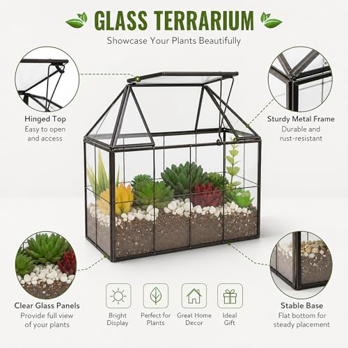 Ferrisland Glass Terrarium Greenhouse House Shape Display Box Planter for Succulents Plant Terrarium Container Mordern Tabletop Decor Gardern DIY Kit - size: 9.1"L x 7.3"H 5.4"W