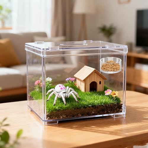 6 PCS Jumping Spider Feeding Dish Set, Anglecai 2 PCS Magnetic Food Dish for Jumping Spider Water Bowl with 1 Tweezer, 1 Dropper, 2 Brushes