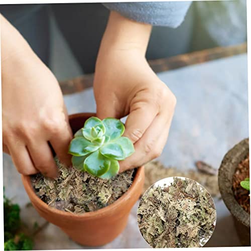 Sphagnum Moss Dried Spagnum Dry Moss for Reptiles Bedding and Terrarium Pet Supplies 150g