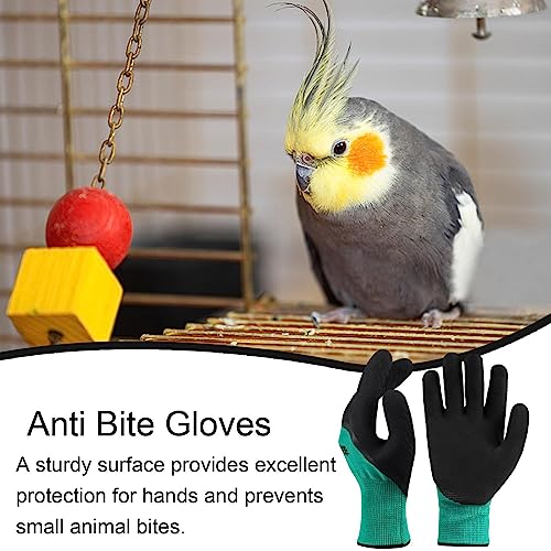 Anti Bite Gloves, 1 Pair Animal Handling Glove, Thickened Bite Resistant Anti Scratch Protective Gloves for Dogs Cats Birds Hamster Snake Squirrels Cockatiels Lizard Wild Animals