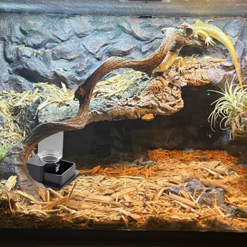 1 Pack Small Reptile Water Bowl Automatic Water Dispenser for Reptile Gecko Lizard Terrarium Bowl Feeder (Black)