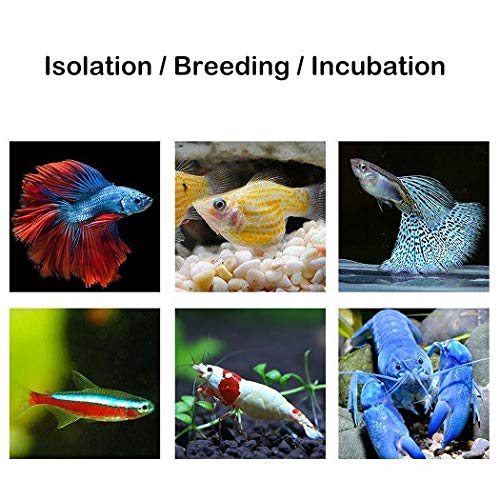 Mipukbay Medium Aquarium Isolation Breeding Box, Acrylic Transparent Aquarium Breeder Box for Fish Fry Hatching, Shrimp Breeding, Betta, Guppy, Killifish, Clownfish, Suitable for 5-40 Gallon Tanks - size: Medium