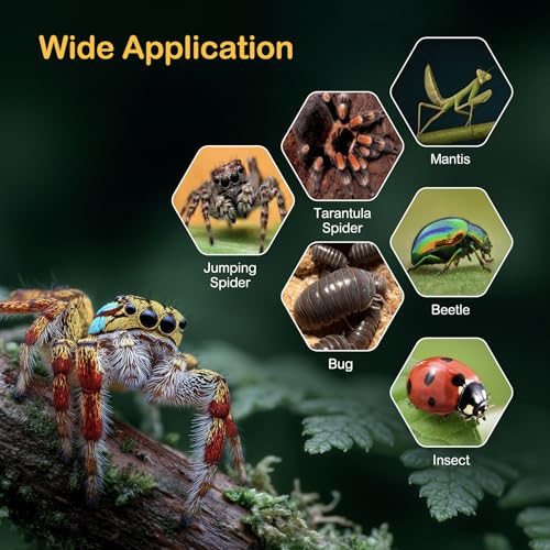 Jumping Spider Enclosure Starter Kit,Escape Proof Ocean Terrarium | Praying Mantis Terrariums,Transparent Acrylic Complete Bug Habitat,All In One Arboreal Tarantula Cribs Cage,Insect Container - size: Large
