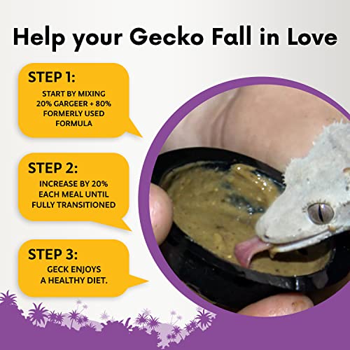 Gargeer 2oz Complete Crested Gecko Food Diet. Premium Mix, Ready to Use Freshly Made Powder. Unique Formula, Developed & Made in the USA. Enjoy! (Tropical + Insects Protein) - size: 2 Ounce (Pack of 1)