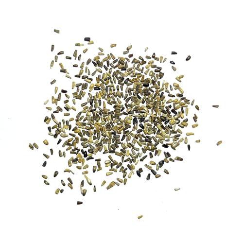 Seed Needs Chicory Seeds to Plant Italian Dandelion Blue Flowers 2 Packs - size: 2 Packs, style: Italian Dandelion