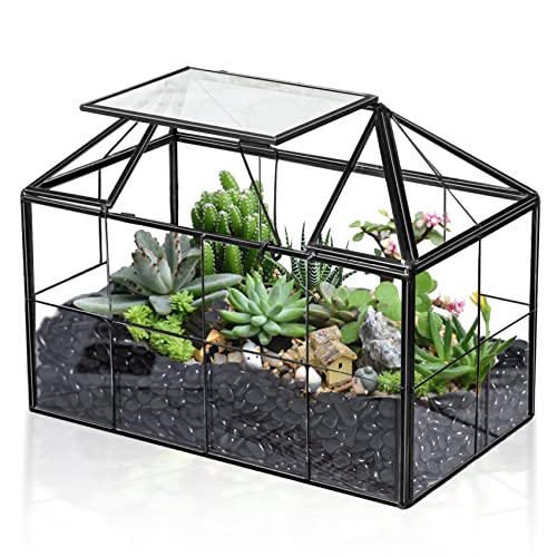 Ferrisland Glass Terrarium Greenhouse House Shape Display Box Planter for Succulents Plant Terrarium Container Mordern Tabletop Decor Gardern DIY Kit - size: 9.1"L x 7.3"H 5.4"W