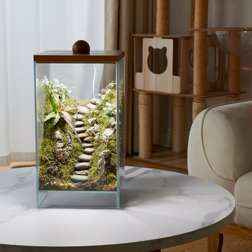 13.7H+7.8W Desktop Glass Plant Terrarium with Light, Large Propagation Station for Succulent, Moss, Miniature Gardening Landscape, Betta Fish Tank