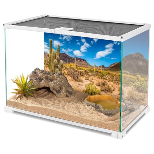AWERT 72x24 inches Reptile Habitat Background Blue Sky Oasis Cactus Desert Terrarium Background Vinyl - size: 72x24in/180x60cm