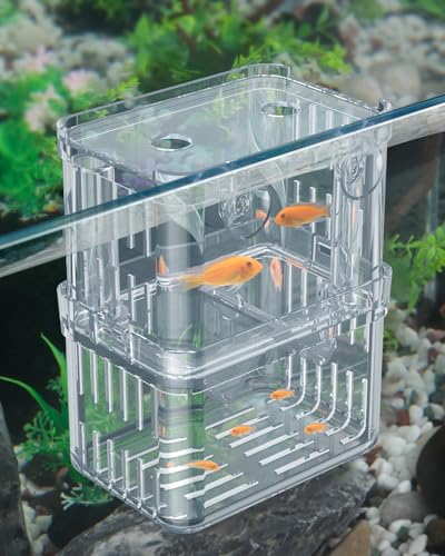 Pawfly Aquarium Breeding Box - Transparent Plastic Breeder Box for Fish Tank, Fry Hatchery Incubator for Baby Fish, Shrimp, Betta, Clownfish, Guppy, Large - size: Large