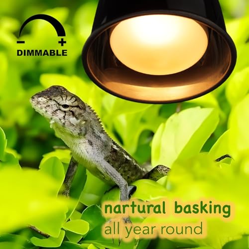 MRREPTILE Reptile Heat Lamp Bulbs, 2-Pack 100W Daylight Basking Bulbs, Reptile Basking Lamps, Bearded Dragon Basking Light, Simulated Natural Basking for Reptiles Snakes Lizards Tortoise Heater - size: 100W