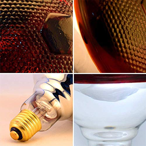 2 Pack 250W Red Heat Lamp Infrared Bulbs Heavy Duty PAR38 Glass Lamp for Food Service, Brooder Bulb, Chicks, Pet, Bathroom, Light Therapy Use E26 Base, Flood Light Heat Bulb. - size: ZX-250W