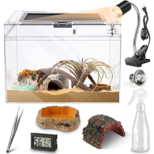 Slide Lid Tank XL 17.7x9.84x7.8IN and Reptile Terrarium Kit S 12“ x 7“ x 9”