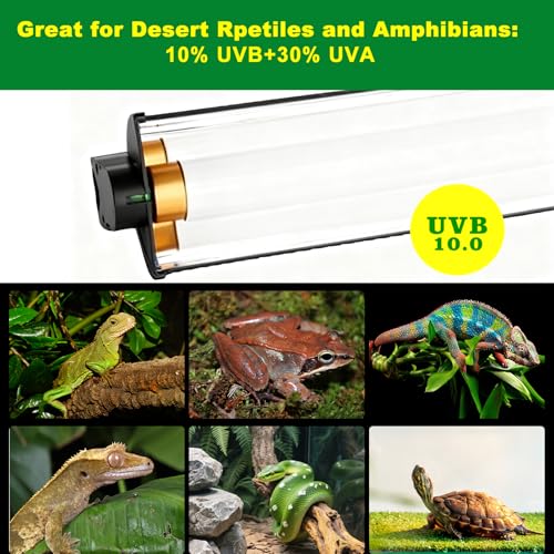 T5 HO UVB Lighting Kit, 8W Terrarium Hood with Detachable Curved Reflector, Desert 10.0 UVB T5 Lamp (8 Watts) - size: 8 Watts