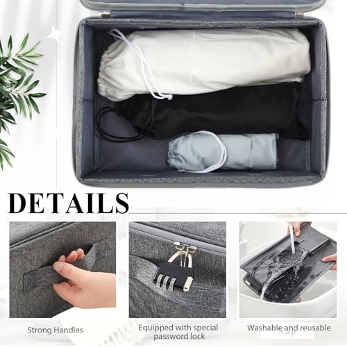Briwooody Discreet Lockable Toy Bag,Gray,11.8 X 7.9 X 5.5 In - color: Gray, size: 11.8 x 7.9 x 5.5 Inch