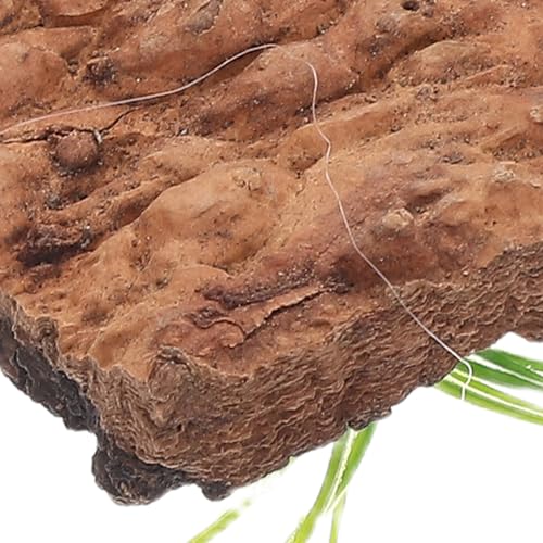 Sosoport 20pcs Natural Cork Bark for Terrarium Reptile Tank Background Tree Bark Hide Platform for Snakes Lizards Turtles Stable Climbing and Hiding Aquarium Decoration