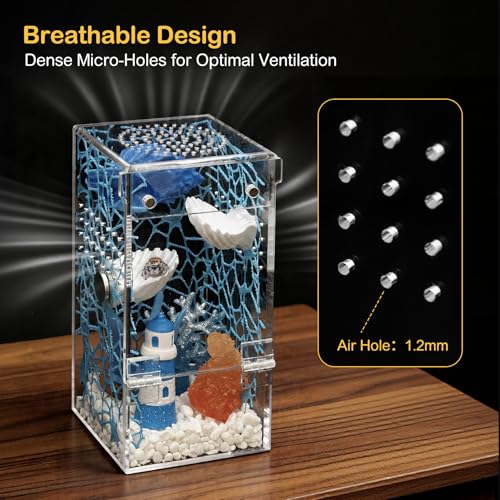 Jumping Spider Enclosure Starter Kit,Escape Proof Ocean Terrarium | Praying Mantis Terrariums,Transparent Acrylic Complete Bug Habitat,All In One Arboreal Tarantula Cribs Cage,Insect Container - size: Small