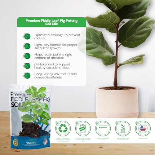 Fiddle Leaf fig Soil Plant Food fig Trees Live Plants Fertilizer Seed Starter Soil Plant - color: Fiddle Leaf Fig Soil