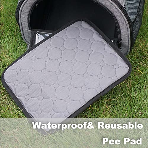 Rabbit Carrier, Small Pet Carriers for Guinea Pig Hamster Bird Bunny Bearded Dragon Kitty, Animal Bag with Stable Handle and Waterproof Pad, Easy Travel and Vet Visit-Large - size: Large