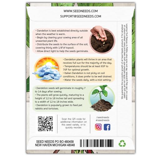 Seed Needs Garnet Stem Dandelion Seeds to Plant Heirloom & Non-GMO 2 Packs - size: 2 Packs, style: Garnet Stem Dandelion