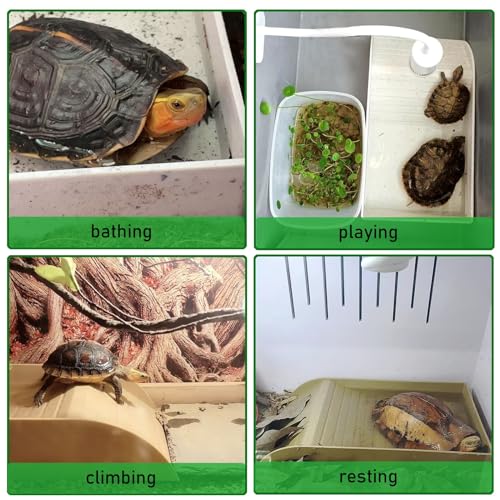 3pcs Tortoise Water Dish with Ramp Turtle Food Water Bowls Rock Reptile Water Dish Tortoises Habitat Accessories Turtle Reptile Bathing Pool (Grey)