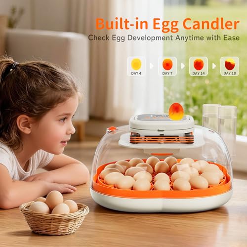 APDOE Egg Incubators for Hatching Eggs, Temperature and Humidity Control, Automatic Egg Turning, Egg Candler, External Water Bottle, Air Vent, for Chicken, Duck & Quail Eggs, 25 Eggs - size: 25 Eggs