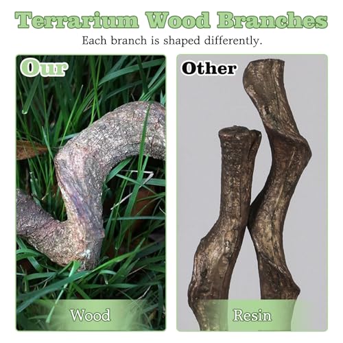 Reptile Cork Bark with Reptile Climbing Decor Thick Wood Branches Snake Habitat Decorations Terrarium Wooden Tree Trunk Ornament