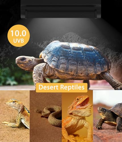T5 UVB Reptile Light Fixture Combo Kit - 12 Inch 8W Terrarium Hood 10.0 UVA UVB Bulb with High-Efficiency Reflector for Desert Reptiles & Amphibians (Bearded Dragons, Turtles, Tortoises) - size: 8W T5 Suite