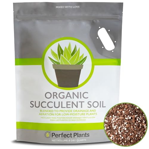 Succulent & Cactus Soil Mix by Perfect Plants (8QTS) - size: 8 quarts