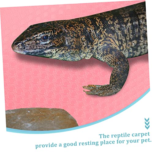 GALPADA Reptile Carpet Substrate for Terrarium Nonslip Reptile Bedding for Leopard Gecko Lizard Snake and Tortoise Sturdy and Easy to Clean Accessories