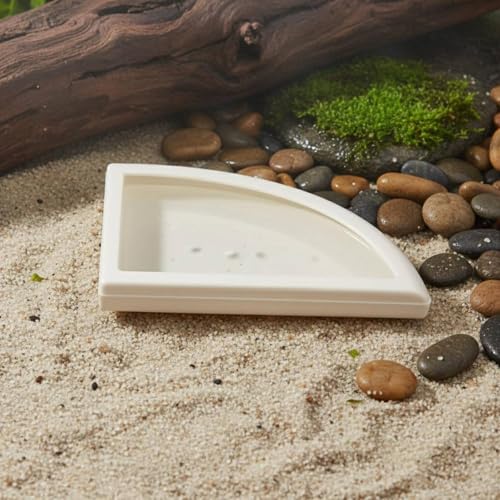 Split Design Reptile Bowl Multi-Functional Corner Reptile Food Bowl Material Terrarium Accessory, S - size: S