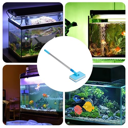 Tank Cleaning Scrubber Brush, with Foldable Brush Head, 55cm, Aquarium Algae Scraper, Aquariums Cleaning Kit, Long Handle Design, for Aquarium Algae Betta Fish Tank Turtle Reptile Terrarium Kitchen