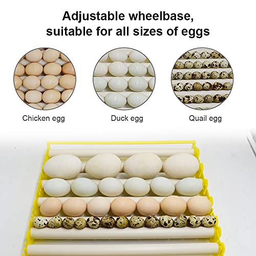 HBtree Automatic Multifunction Incubator Egg Tray Turning Hatcher for Chickens/Ducks/Birds/Poultry（13 Tubes） - color: 13 Tubes